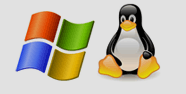 Servidores Windows y Linux